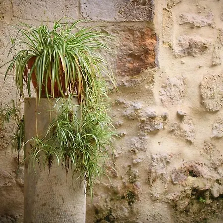 La Du Duche * Uzes